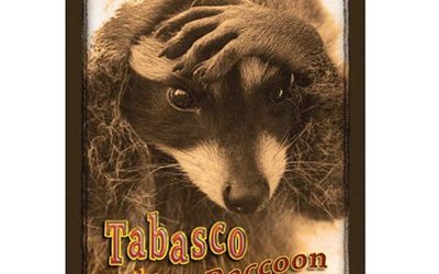 Tabasco the Saucy Raccoon